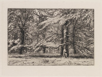 KG 2010 006
<br/>
Serie: La Hollande 1e cahier; In het park van kasteel Groeneveld (Eemnes)
<br/>
<em>Storm van 's-Gravesande, Carel Nicolaas (1841-1924)</em>